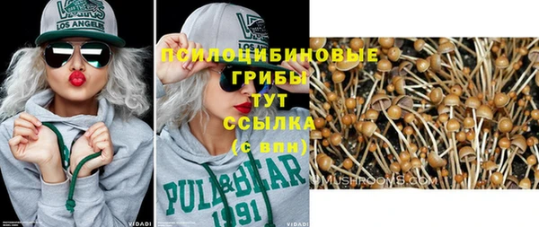 mdpv Бугульма