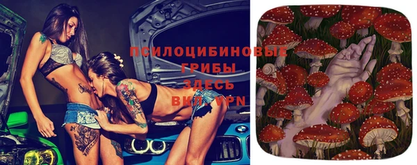 винт Бронницы