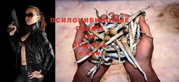 mdpv Бугульма