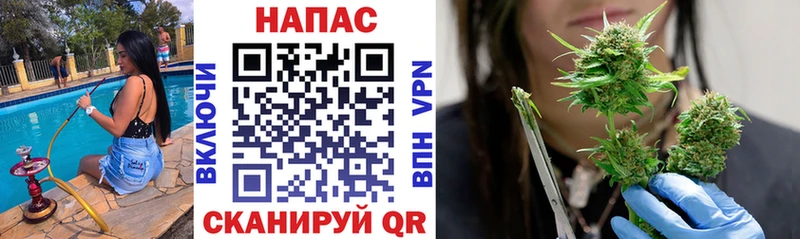Марихуана гибрид Гороховец